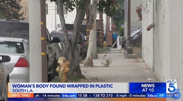 <p>Scene where woman’s body was found in LA </p>