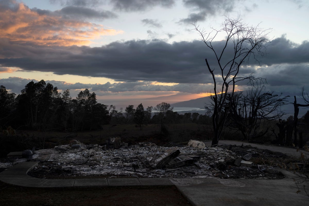 Maui wildfire victims: What we know about the 115 people killed as nearly 400 remain missing