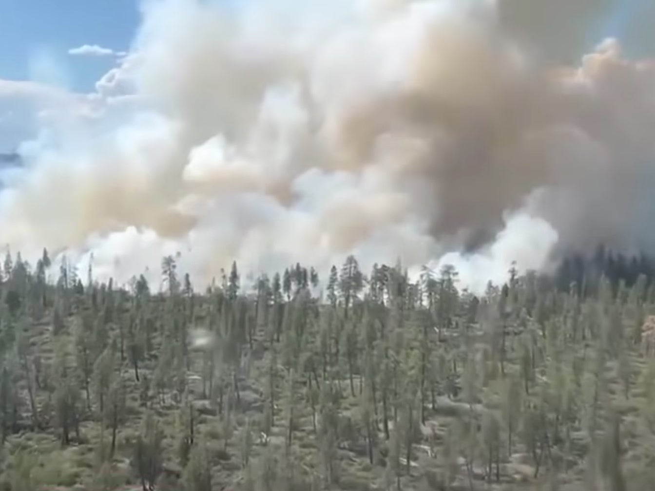 A wildfire burns in Siskiyou County, California after a lightning strike set the forest ablaze