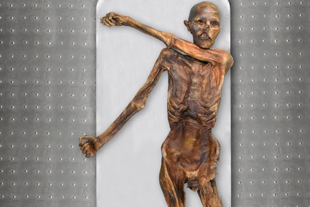 Otzi is known as one of the oldest human glacier mummies (Marco Samadelli-Gregor Staschitz/South Tyrol Museum of Archaeology/Eurac/PA)