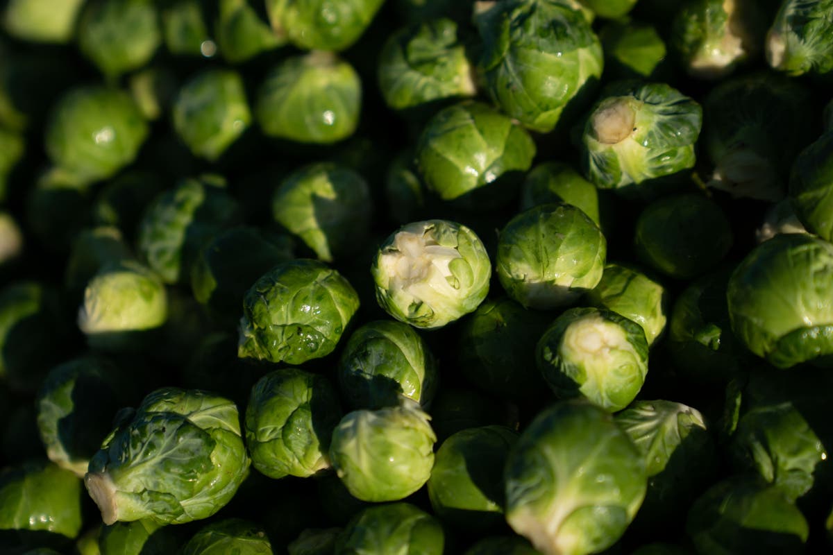 ‘Fussy eating’ disorder linked to differences in brain structure, study shows