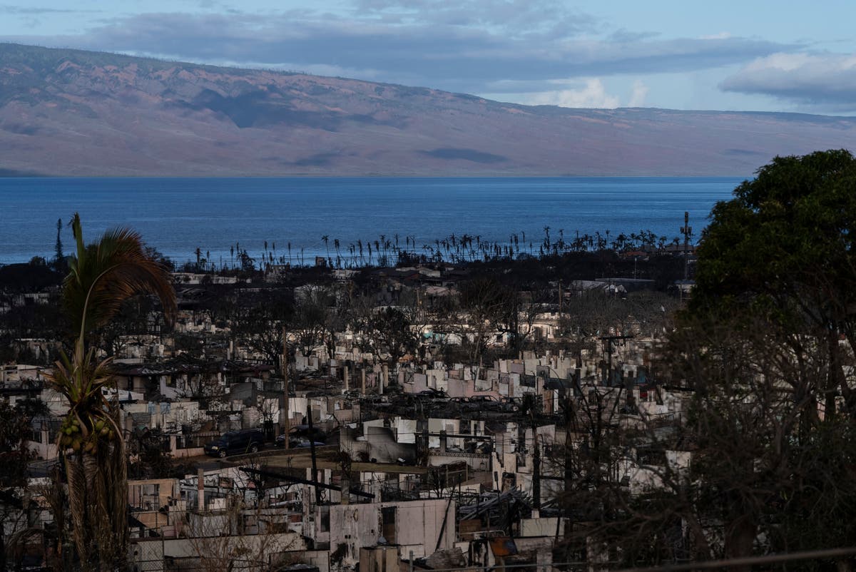 Problemen in de hemel?  Analyse van AP-gegevens toont branden, andere rampen nemen toe in Hawaï
