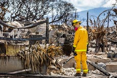 Maui teachers fear children will be among dead as 7-year-old found in burned car