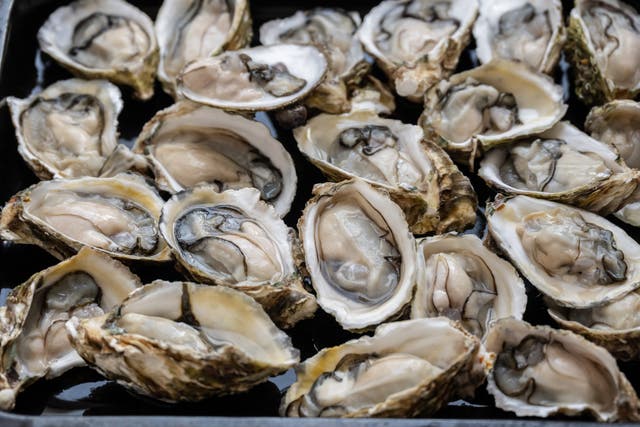 <p>A man has died from a bacterial infection after eating raw oysters in Galveston</p>