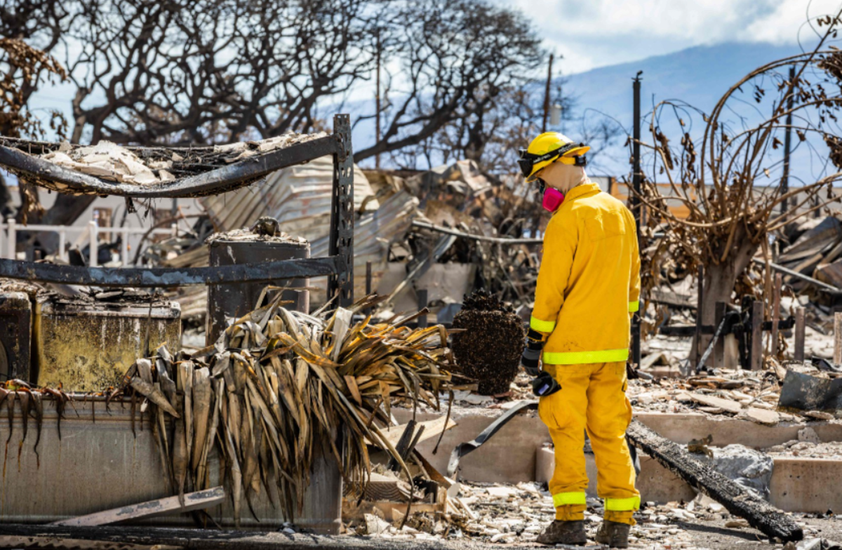 ارتفاع عدد قتلى حرائق ماوي إلى 111 ، تم العثور على 60 ناجًا من حرائق الغابات في منزل واحد: تحديثات مباشرة