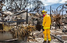 Maui fires – live: Emergency chief quits over response to Hawaii fires as death toll hits 111