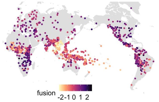 Study of over 1,300 world languages finds which ones are most complex ...