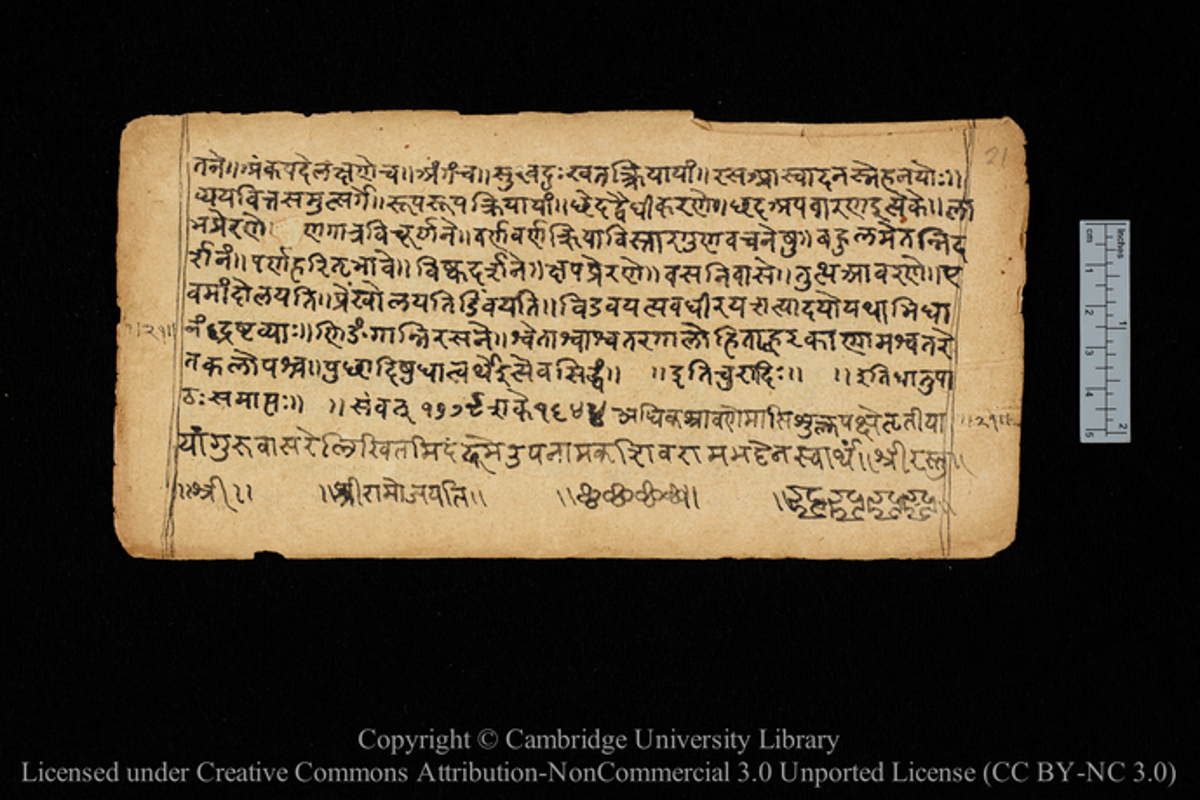 Study of over 1,300 world languages finds which ones are most complex ...