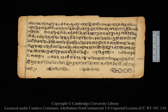 <p>A page from an 18th-century copy of the Dhātupāṭha of Pāṇini (MS Add.2351) held by Cambridge University Library</p>