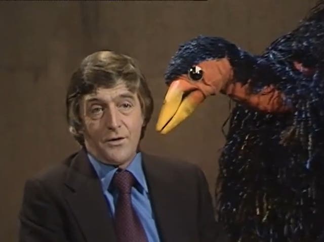 <p>The bird is the word: Michael Parkinson and Emu on ‘Parkinson’ in 1976</p>