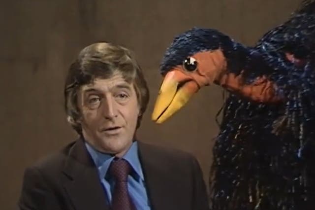 <p>The bird is the word: Michael Parkinson and Emu on ‘Parkinson’ in 1976</p>