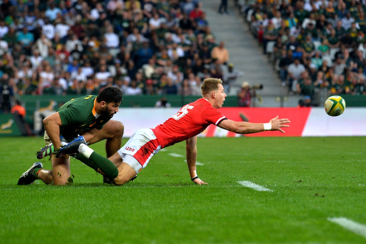 How to look at Wales vs South Africa TV channel, online stream and