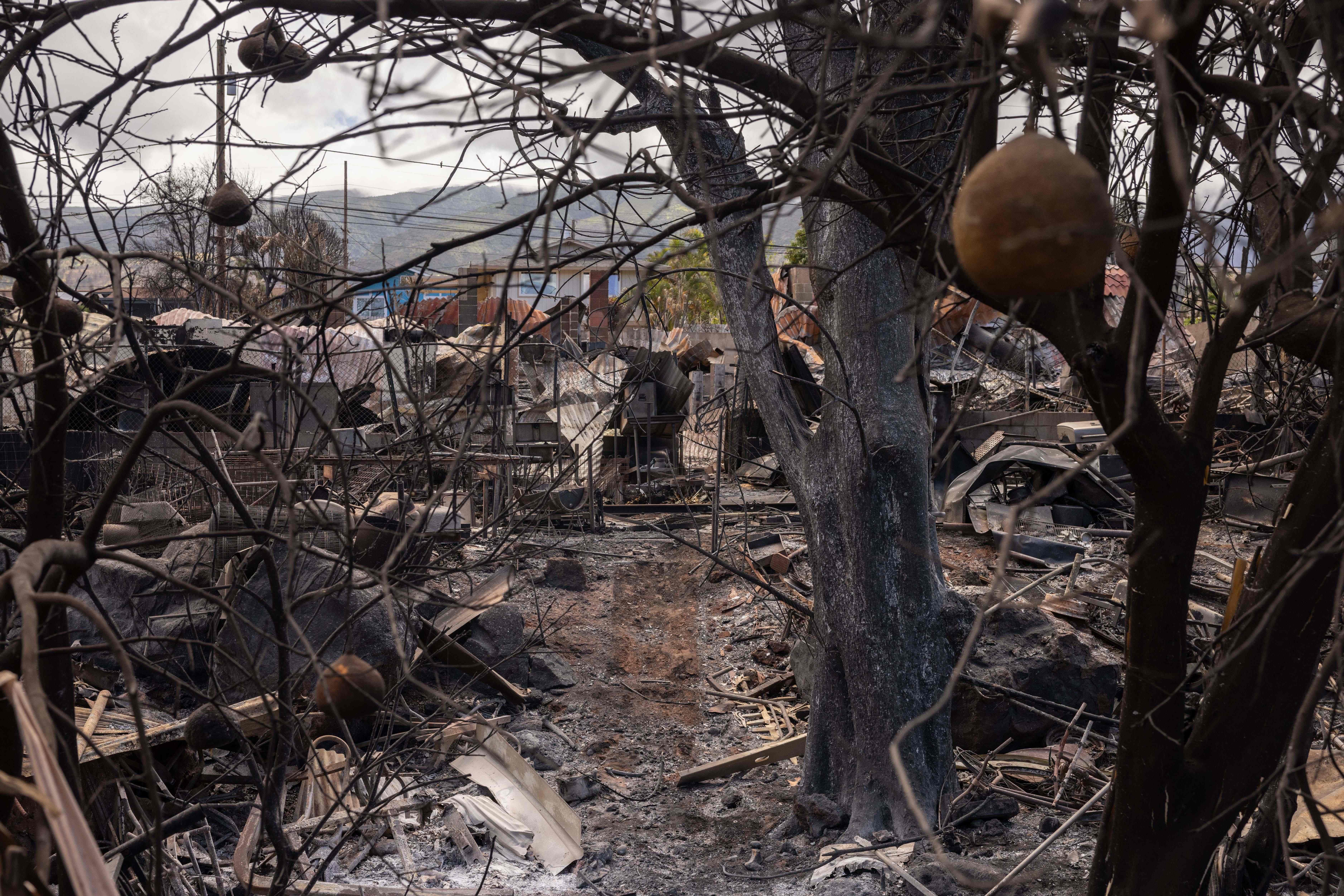 <p>Destroyed buildings and cars are pictured in the aftermath of the Maui wildfires in Lahaina, Hawaii on August 16, 2023</p>