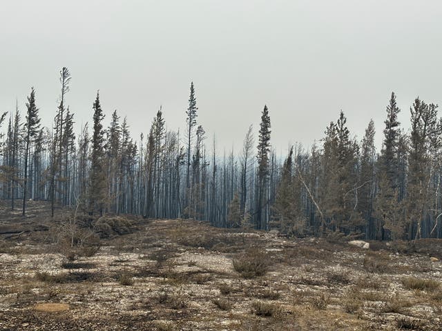 CANADÁ-INCENDIOS