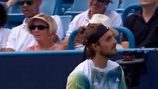 Spectator imitating bee disturbs tennis player mid-match at Cincinnati Masters