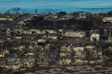 Climate appeasers are leading us towards catastrophe