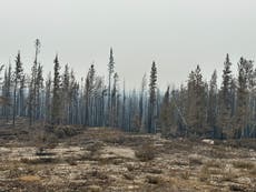 Yellowknife wildfires: Thousands flee Canadian city as fires approach Northwest territories capital