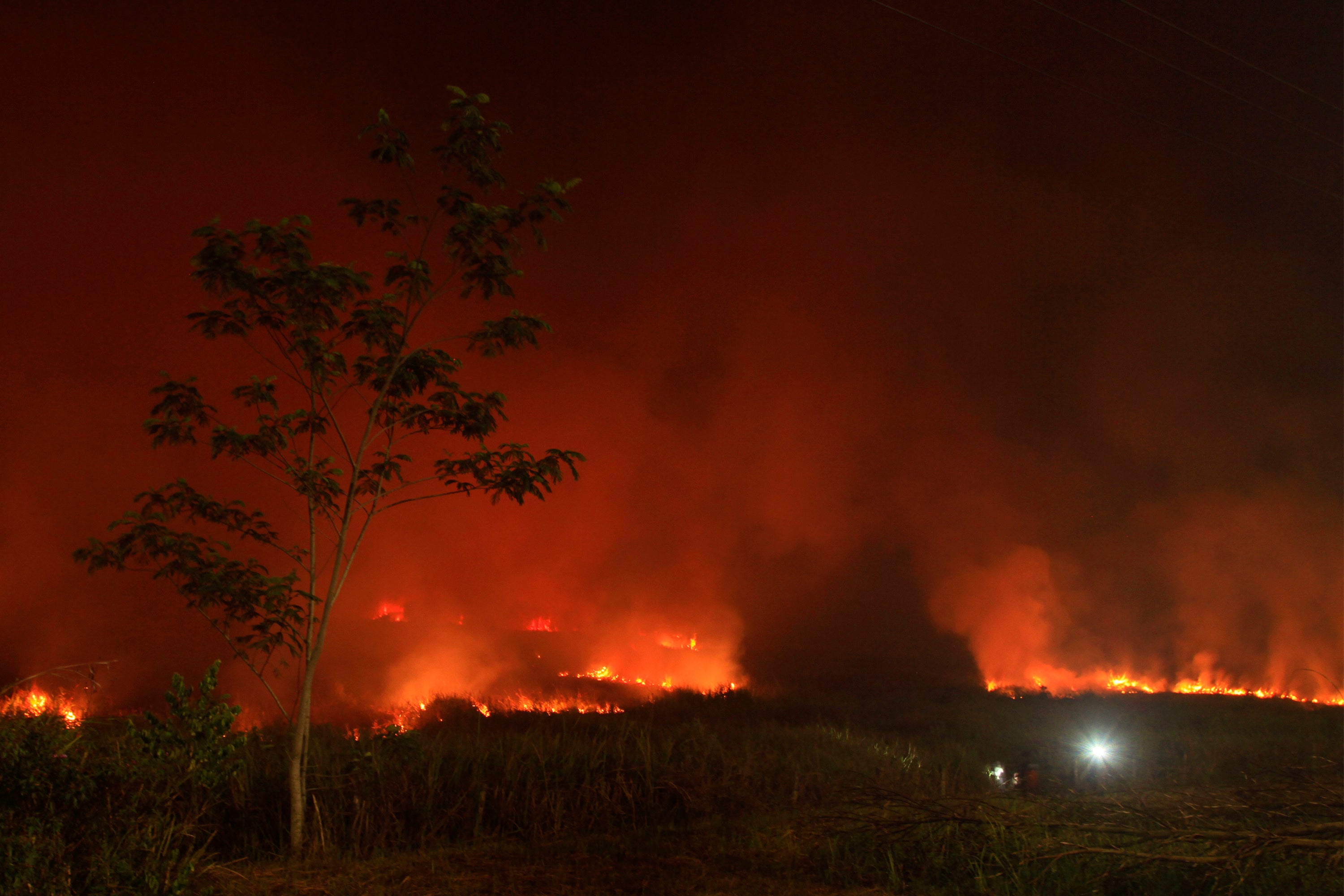 Indonesia Fires