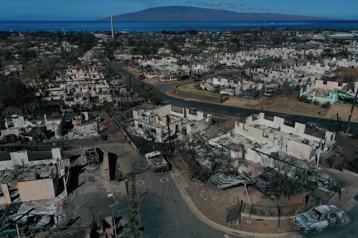 Maui&rsquo;s wildfires death toll reaches 114 as emergency chief resigns amid criticism over sirens &ndash; latest