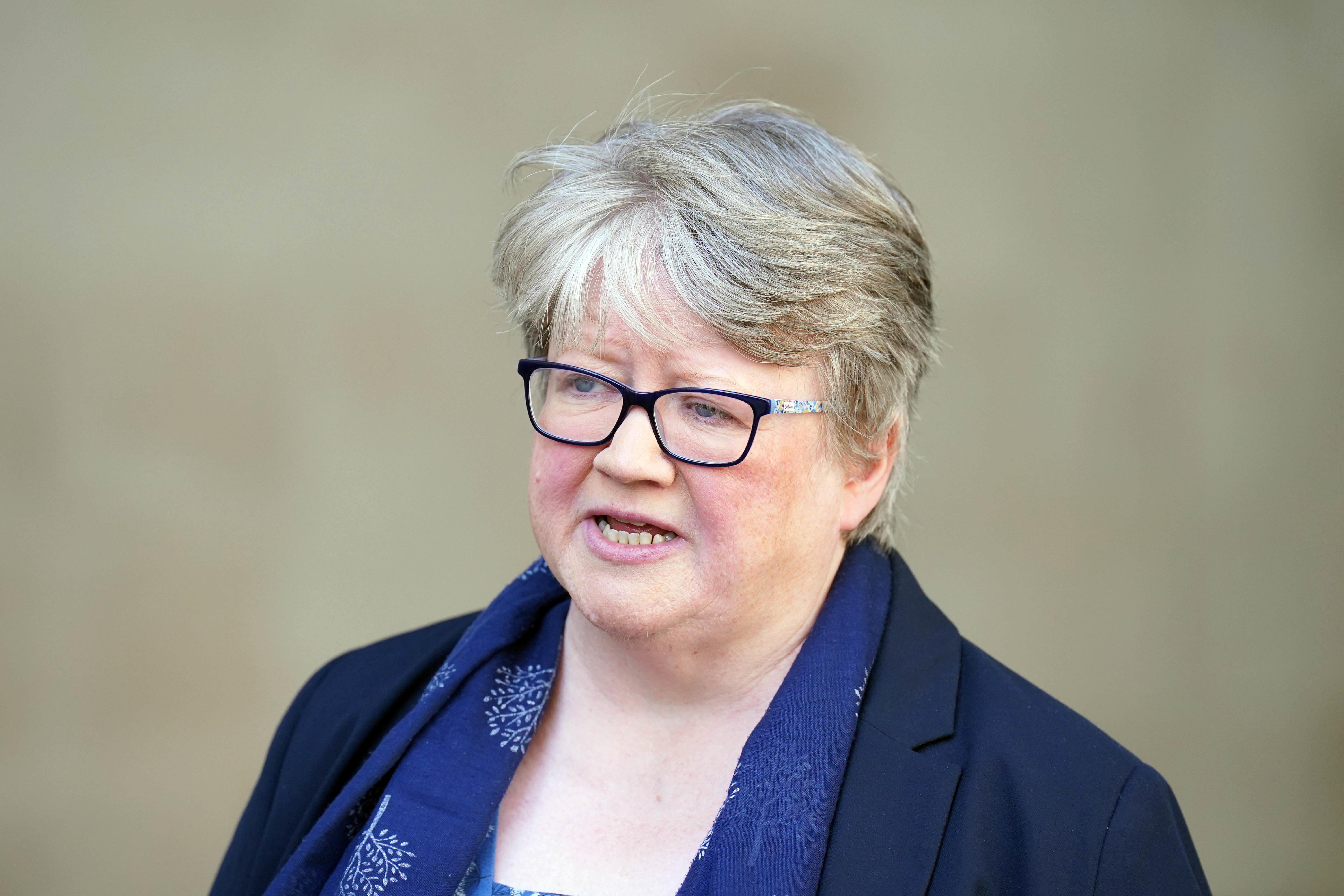 Former environment secretary Therese Coffey gets a damehood