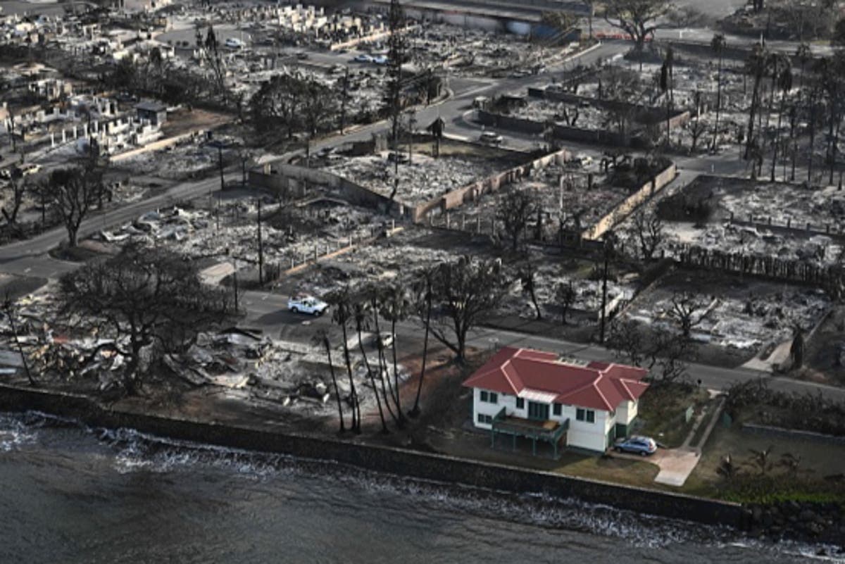 Maui homeowner reveals property upgrades that left her house spared in wildfires The Independent Maui homeowner reveals property upgrades that left her house spared in wildfires The Independent