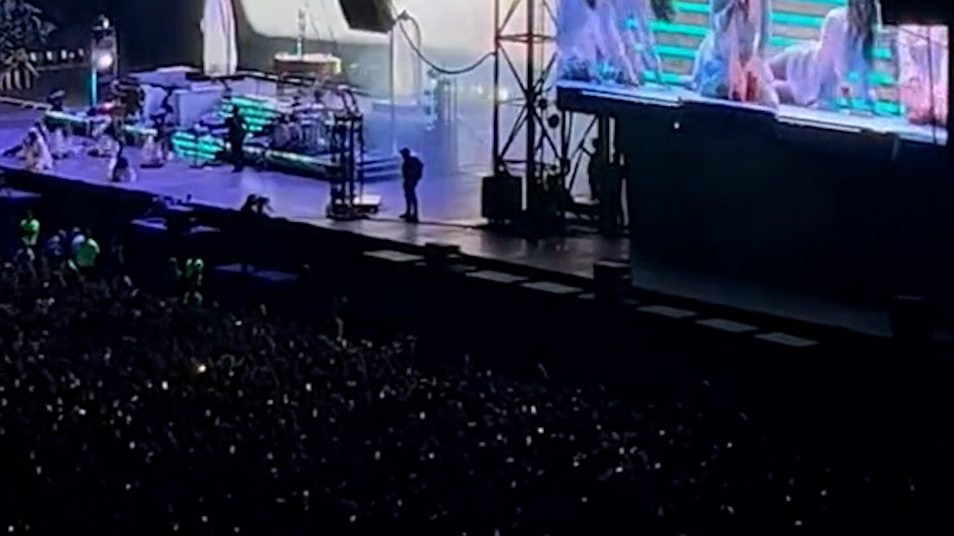 <p>'Domino effect' sees hundreds of Lana Del Rey fans knocked over during concert</p>