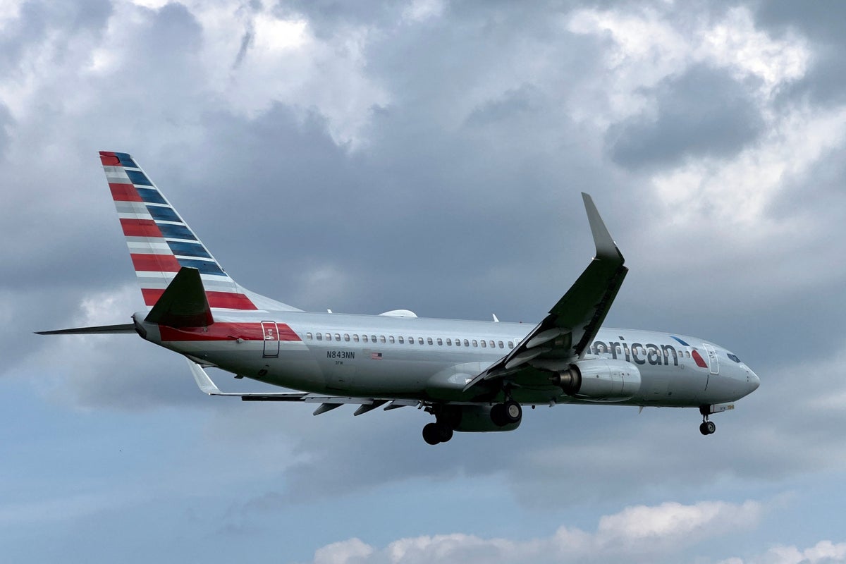 American Airlines customer claims flight attendant ‘snatched’ three-year-old nephew’s snack box