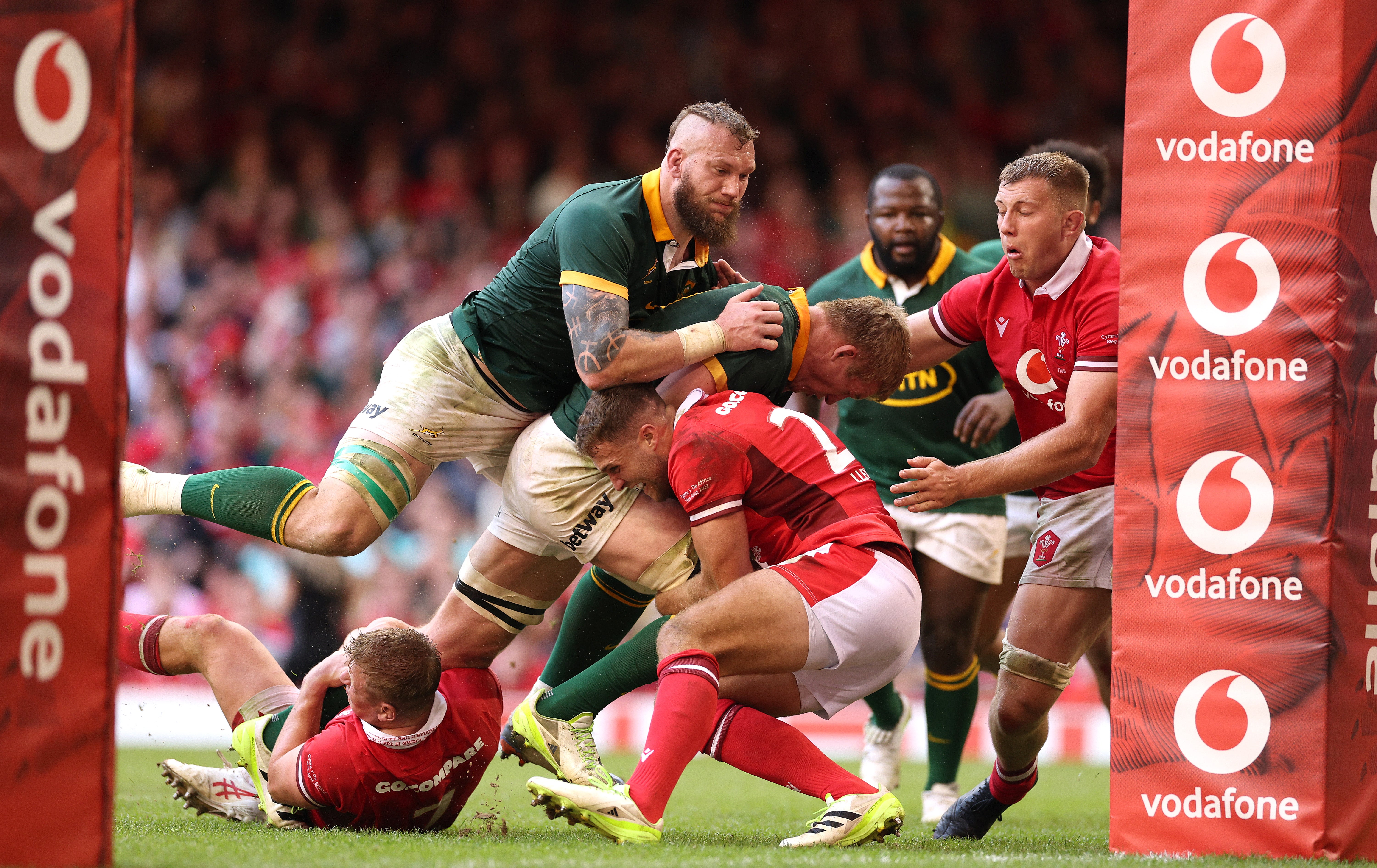Wales v South Africa LIVE Rugby result and reaction from World Cup warm-up in Cardiff The Independent