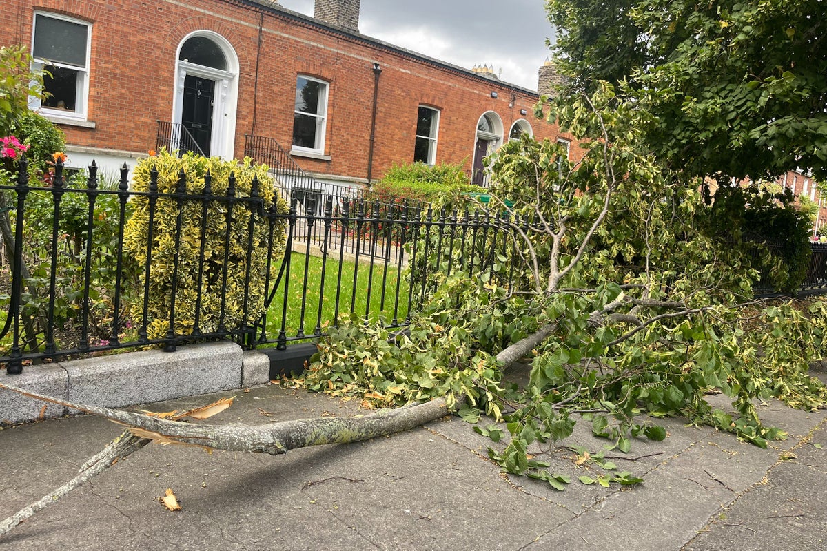 Some households expected to remain without power overnight following Storm Betty