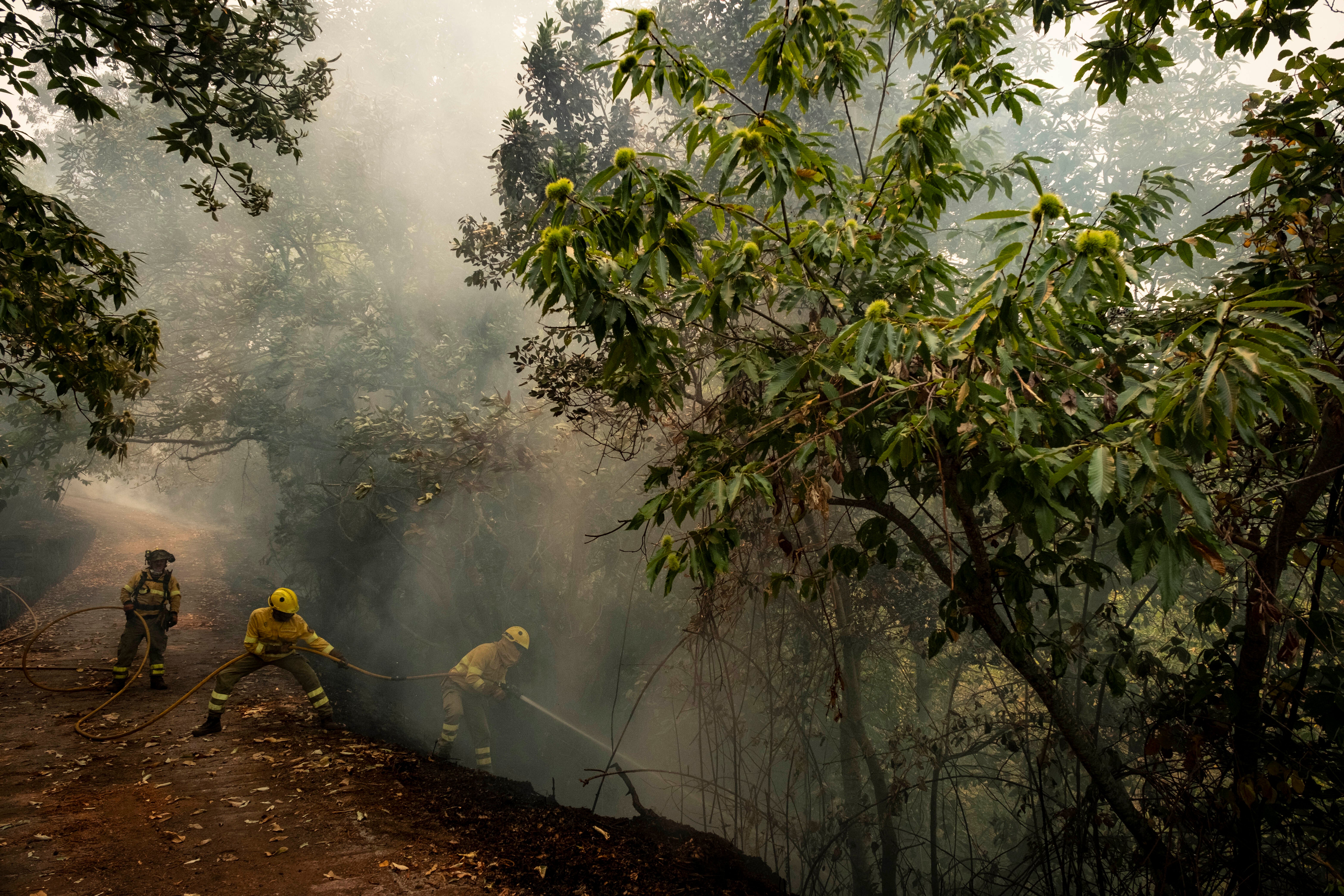 Spain Wildfire Tenerife