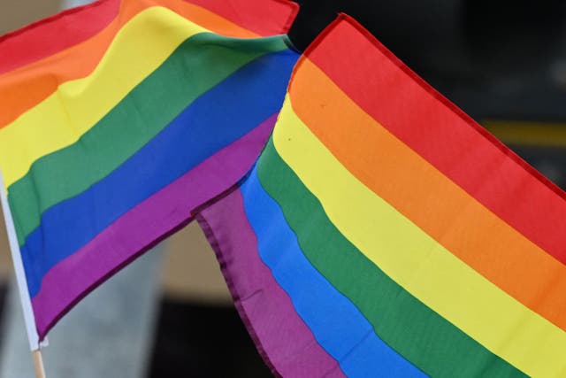 <p>The Pride flag is a representation of the intersectional diversity of LGBTQ+ members </p>