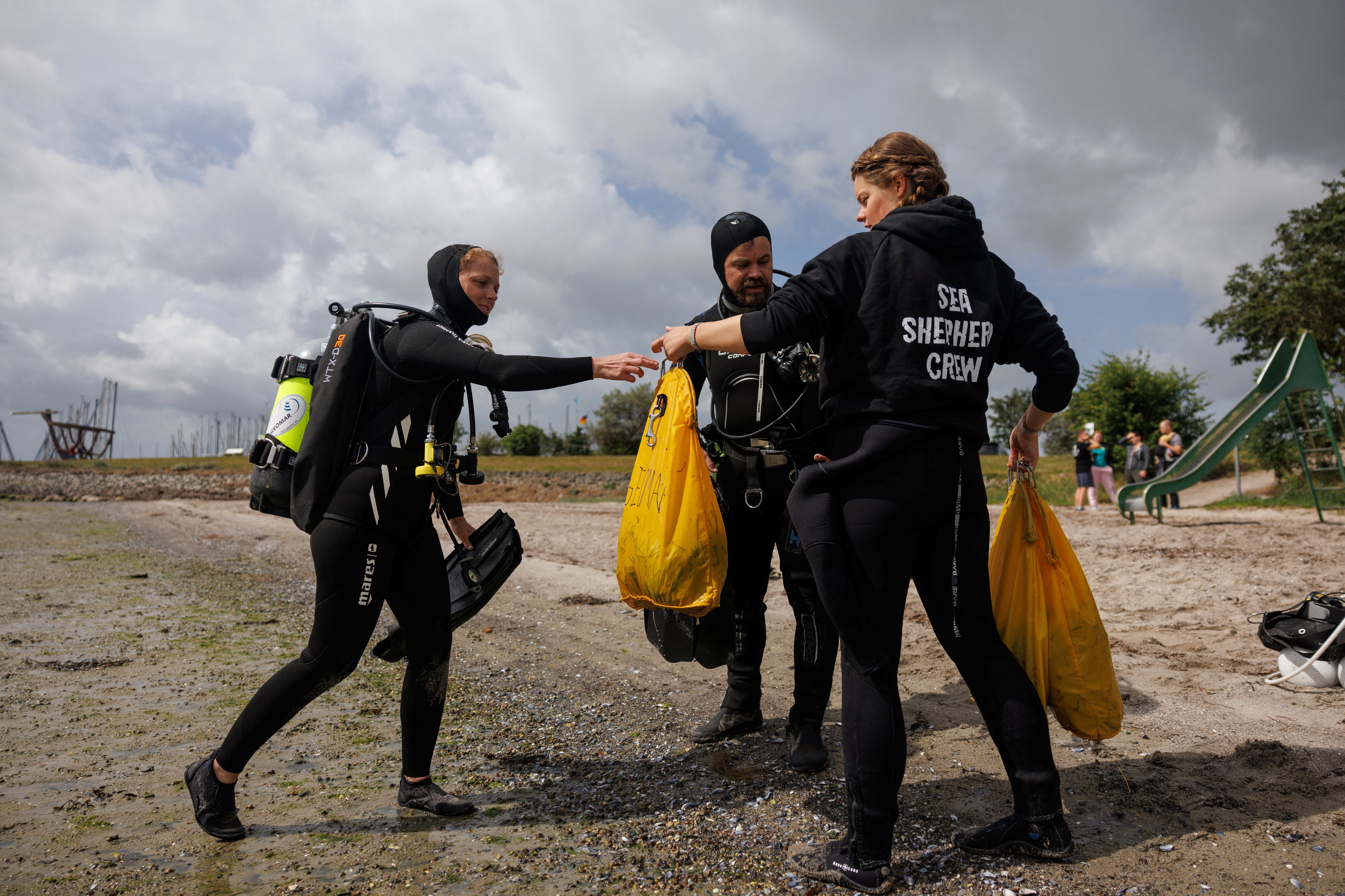 Lea Verfondern, 21, a veterinary assistant and member of the maritime conservation group Sea Shepherd, hands over bags with seagrass shoots to marine scientists Angela Stevenson, 39, and Tadhg O’Corcora, 38, during a two-day citizen diver course that aims to re-green the Baltic Sea in Maasholm, Northern Germany, 2 July
