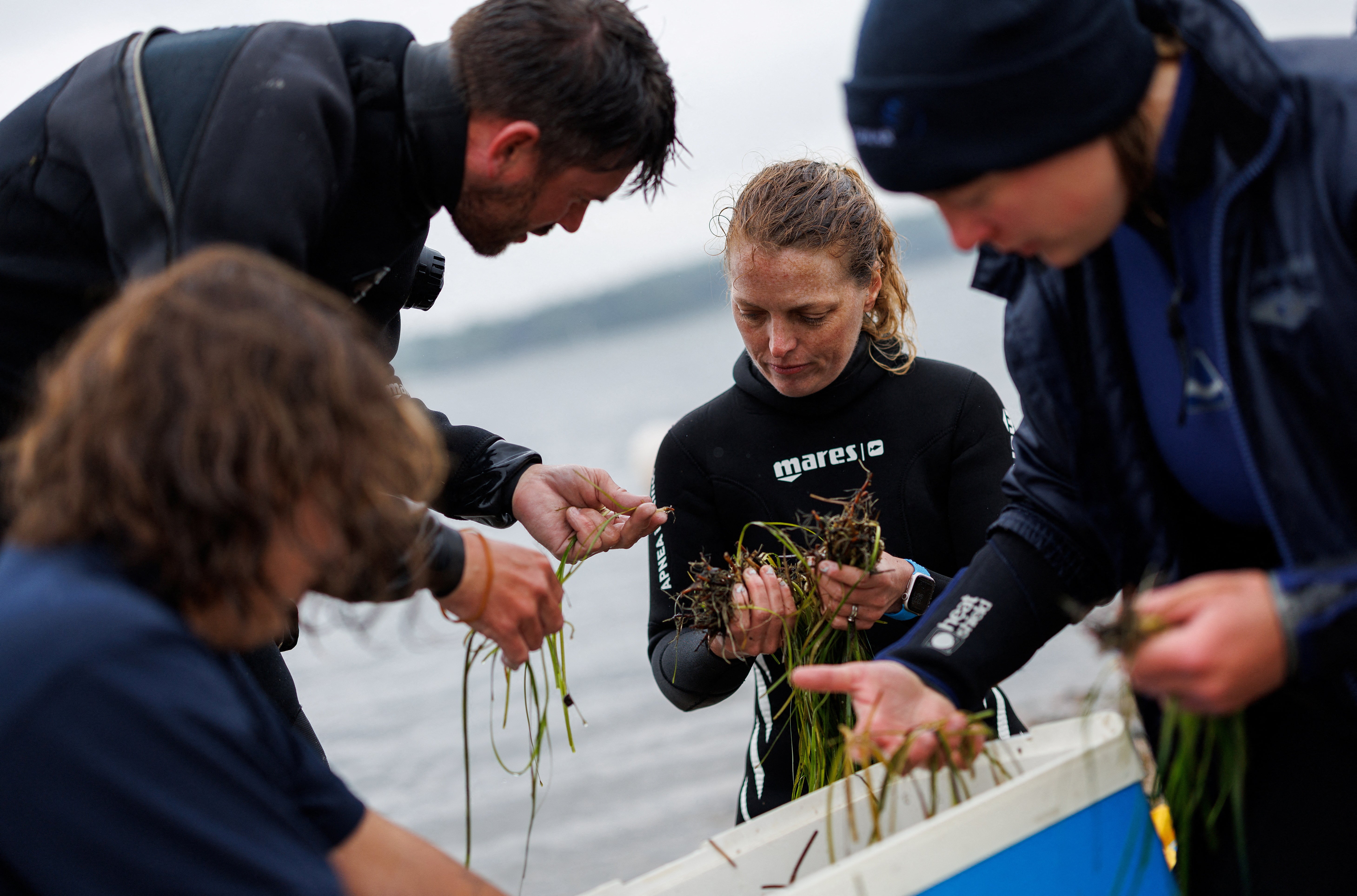 Flo Stadler, 36, an IT engineer and campaign leader of the maritime conservation group Sea Shepherd, and Angela Stevenson, 39, a marine scientist for Geomar, bundle and store harvested seagrass shoots from a donor meadow, near Kiel, Germany 1 July