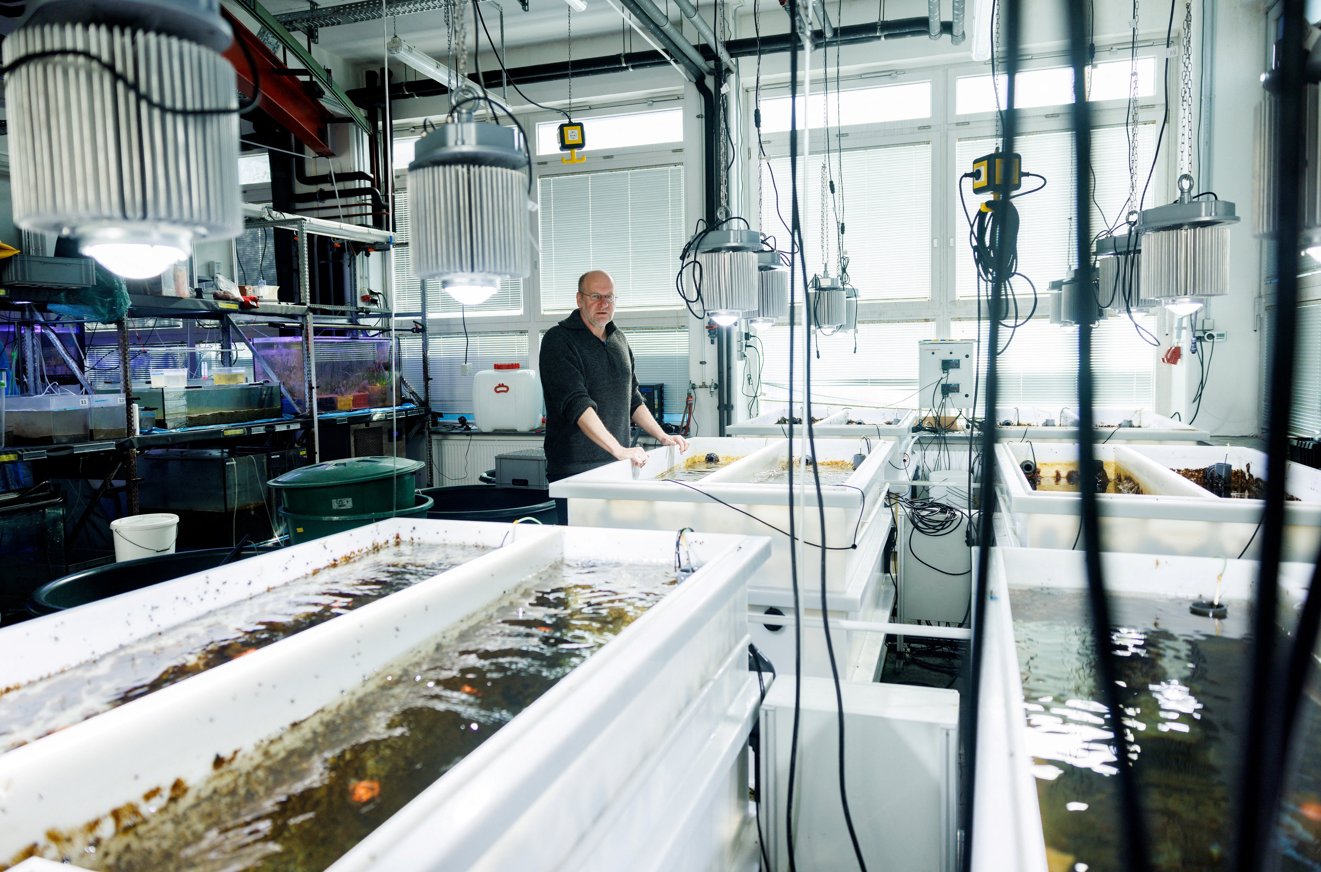 Thorsten Reusch, a marine scientist for Geomar, next to tanks containing seagrass at the lab of the SeaStore Seagrass Restoration Project at the Geomar Helmholtz Centre for Ocean Research in Kiel, Germany, 19 April