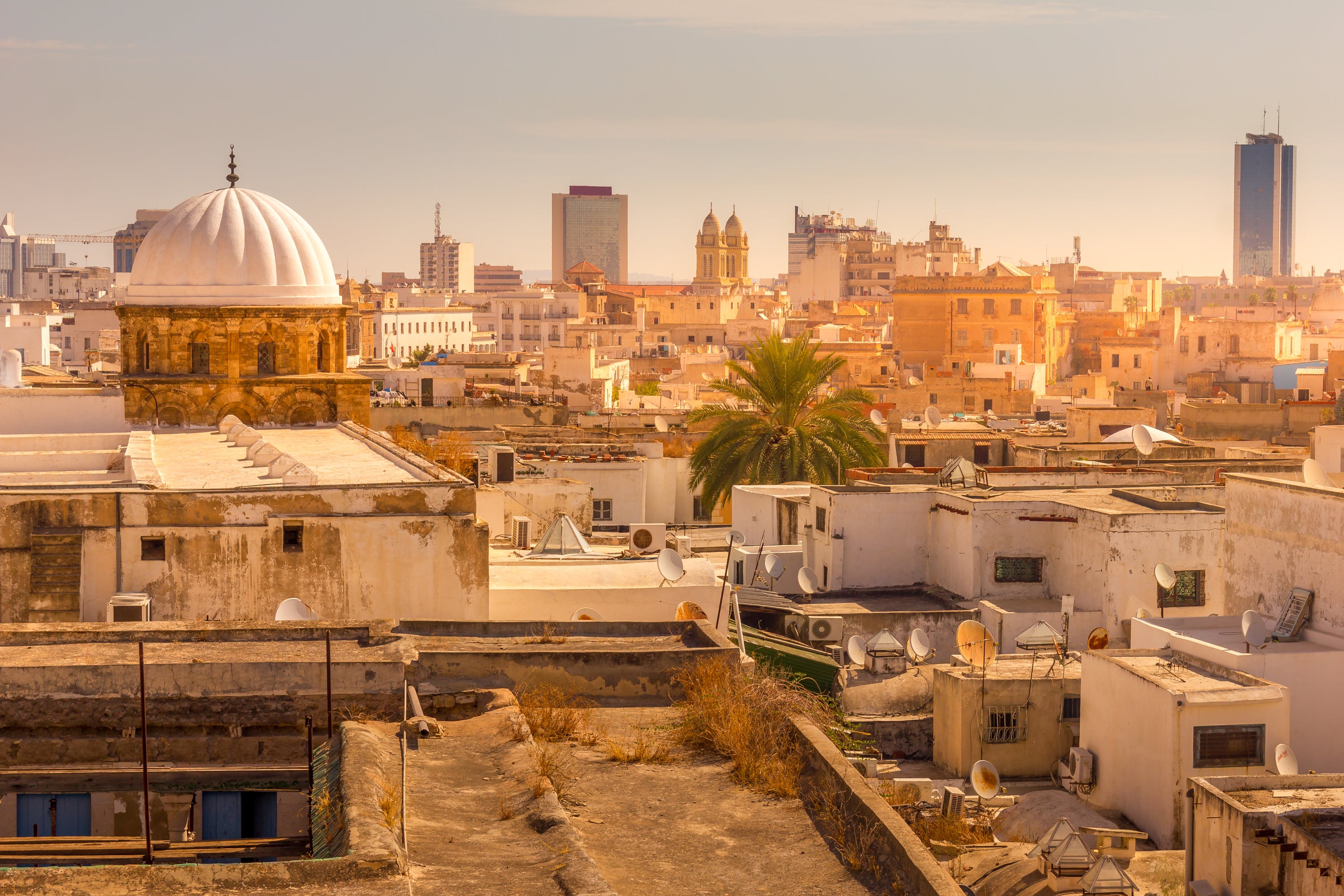 See the ancient treasures of Tunis on a tour of North Africa