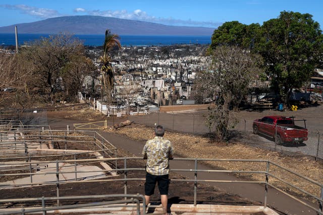<p>A man views homes consumed by a wildfire in Lahaina, Hawaii, Thursday, Aug. 17, 202</p>