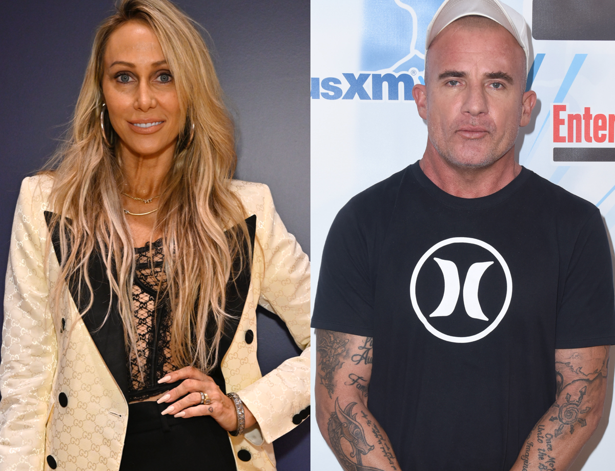 Tish Cyrus marries actor Dominic Purcell four months after announcing ...