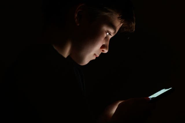 <p>Campaigners warn tech platforms can refuse to remove content due to not being legally obligated to do so as they called for ministers to urgently overhaul the law in this area</p>