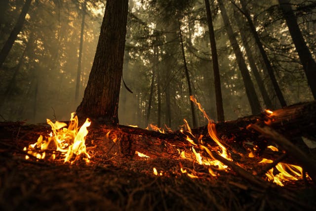 CANADÁ-INCENDIOS