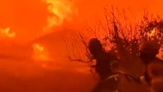 Apocalyptic scenes in Tenerife as wildfire continues to rage on island