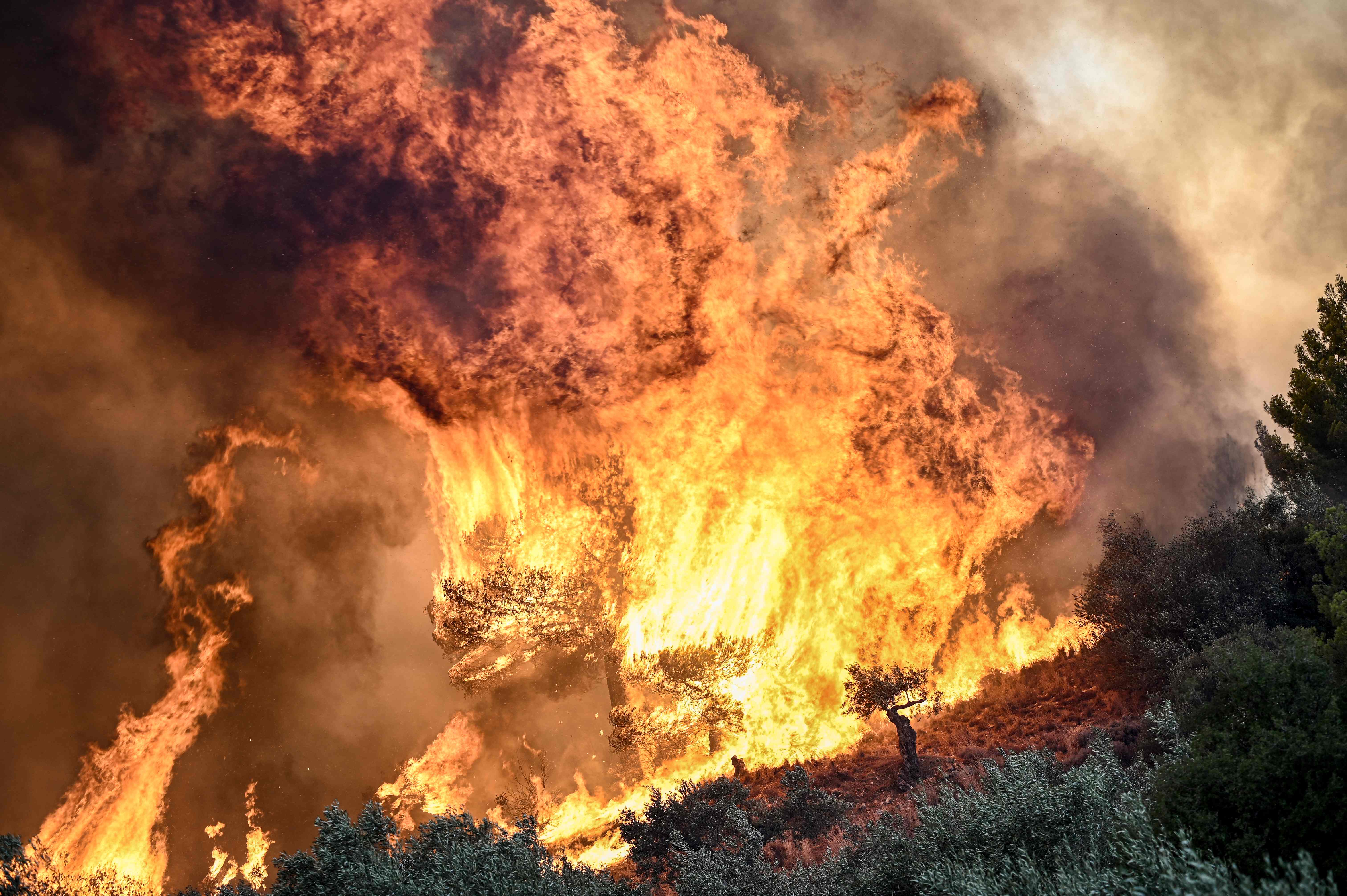 Vegetation is engulfed in flames as wildfires run through Prodromos