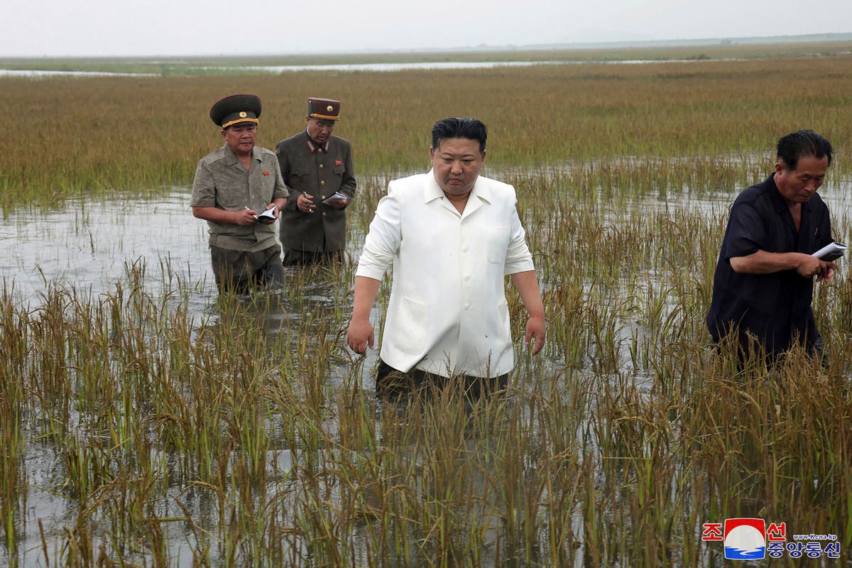 Putin and Kim Jong-Un are deepening their relationship, White House says