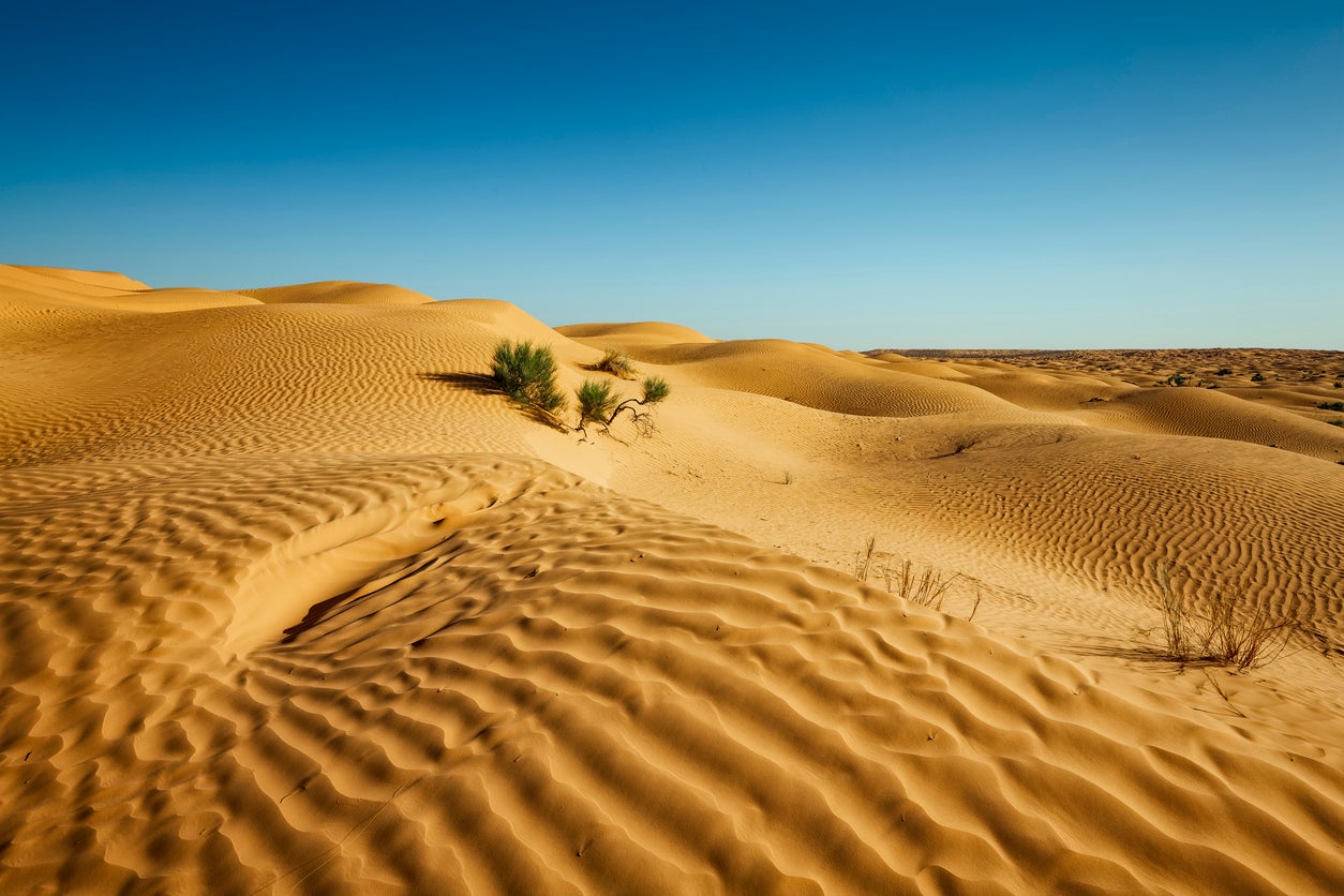 The Sahara is the hottest desert in the world