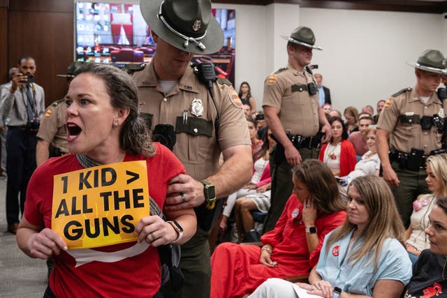 <p>A woman is removed from a House Civil Justice Hearing for holding a sign on the second day of special session to discuss gun violence </p>