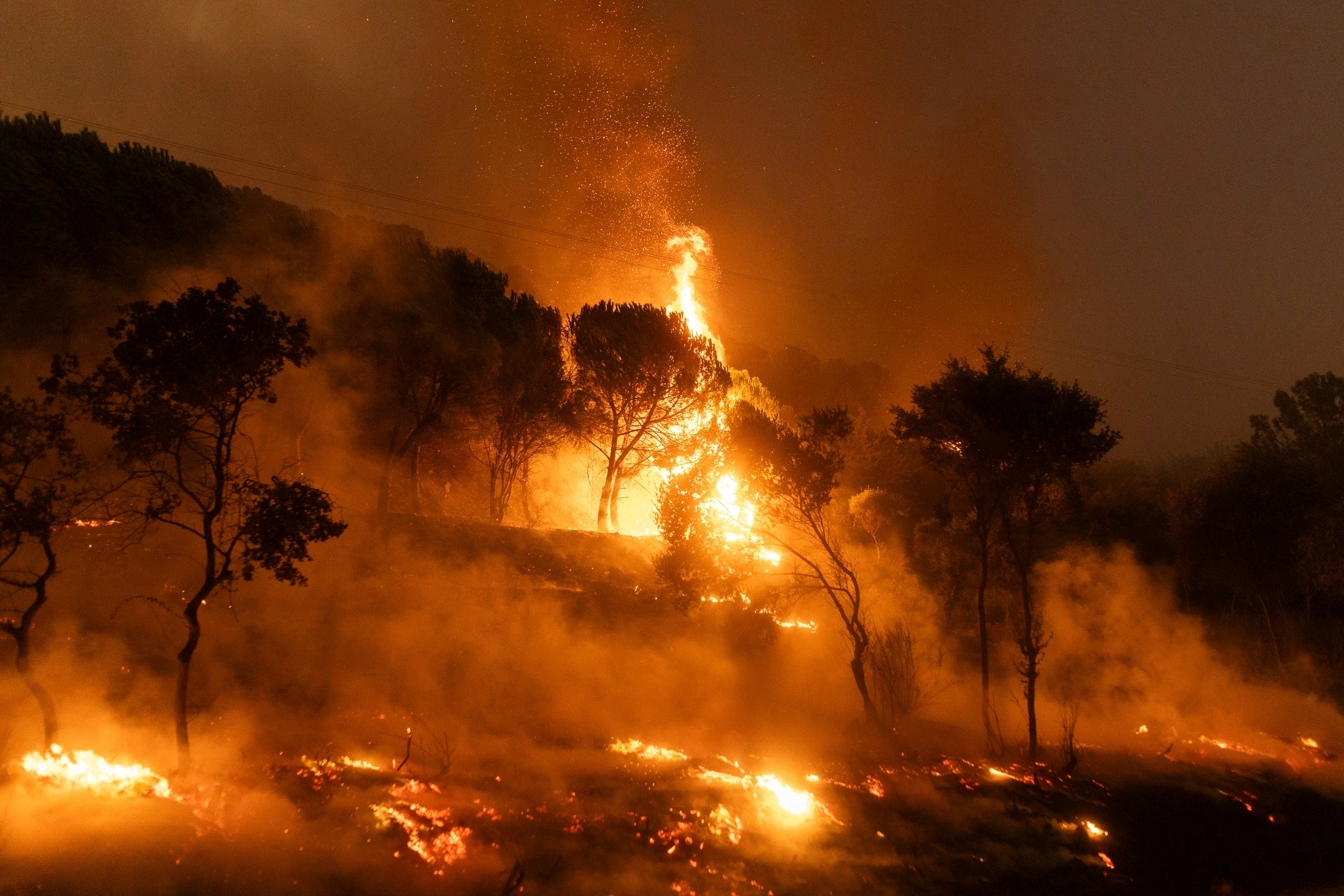 A forest on fire in the village of Dikela, near Alexandroupolis town, in the northeastern Evros region, Greece