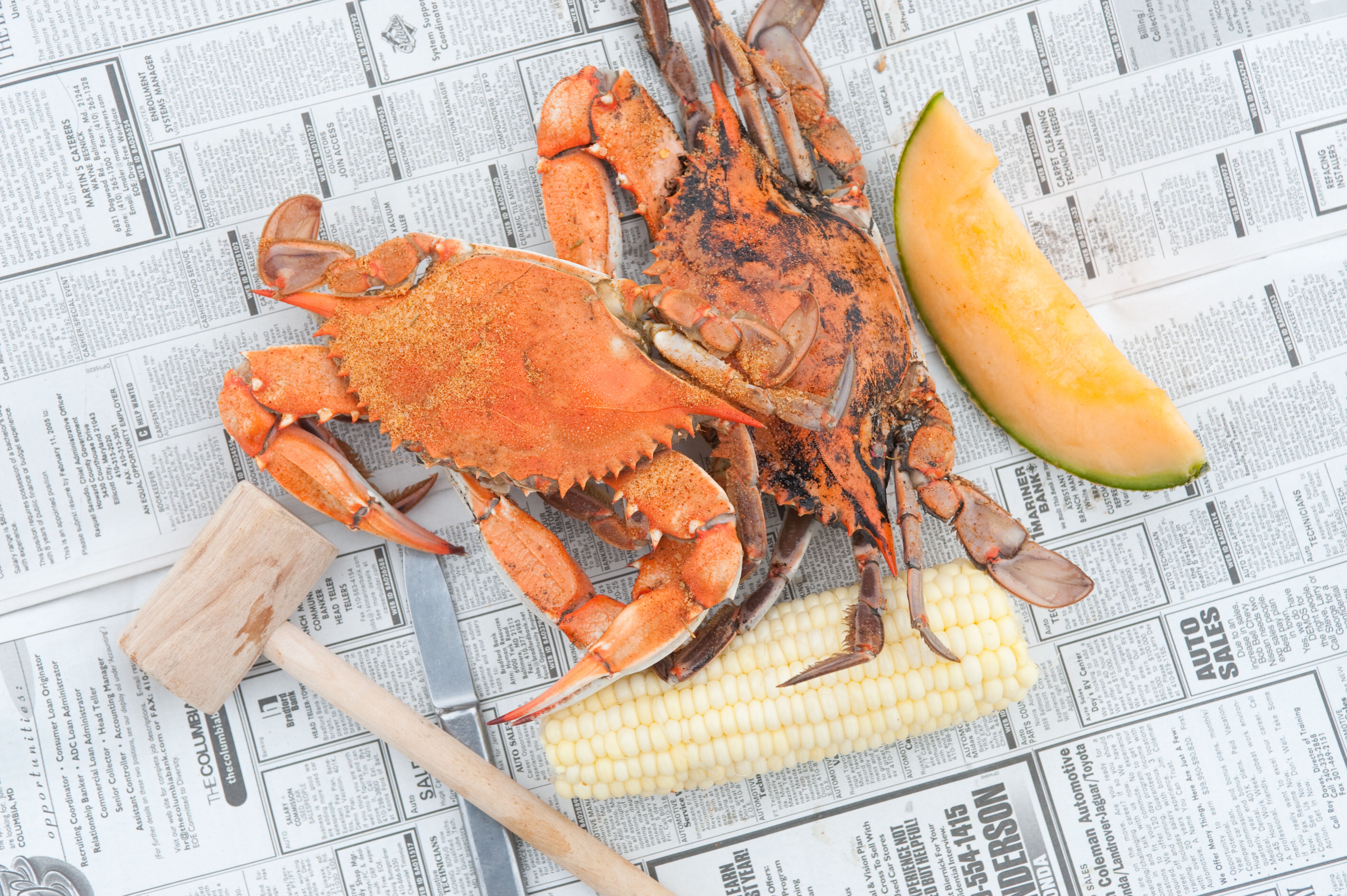 Steamed crabs , Chesapeake Bay Maryland