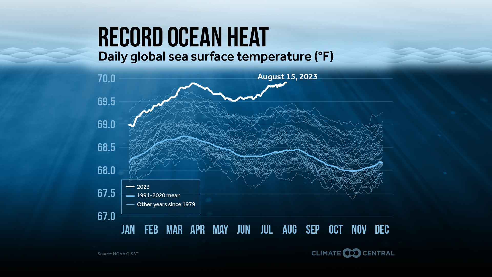 2023 recorded the highest increase in sea surface temperatures
