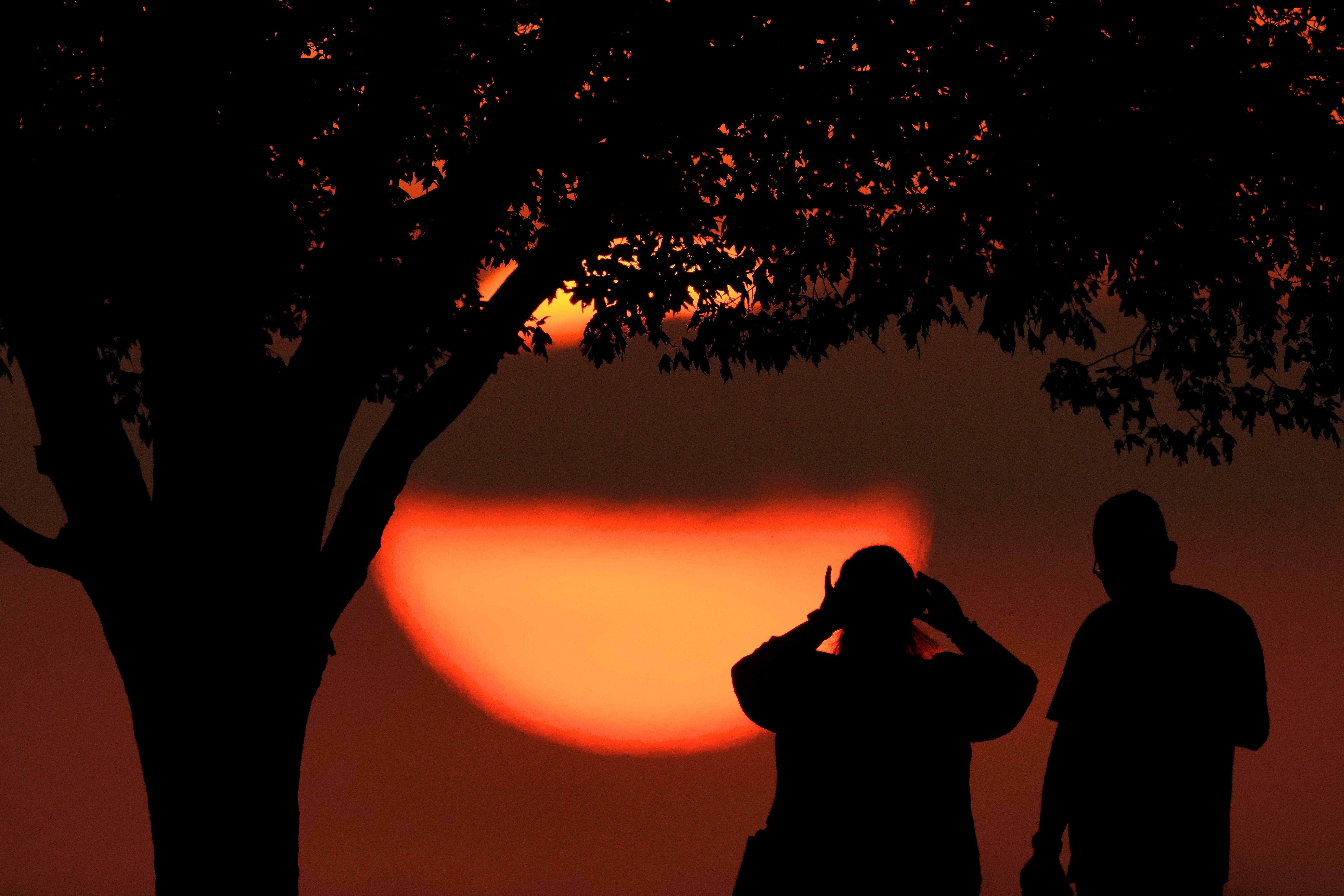 Extreme Heat May Speed Up Cognitive Decline For Certain People The 