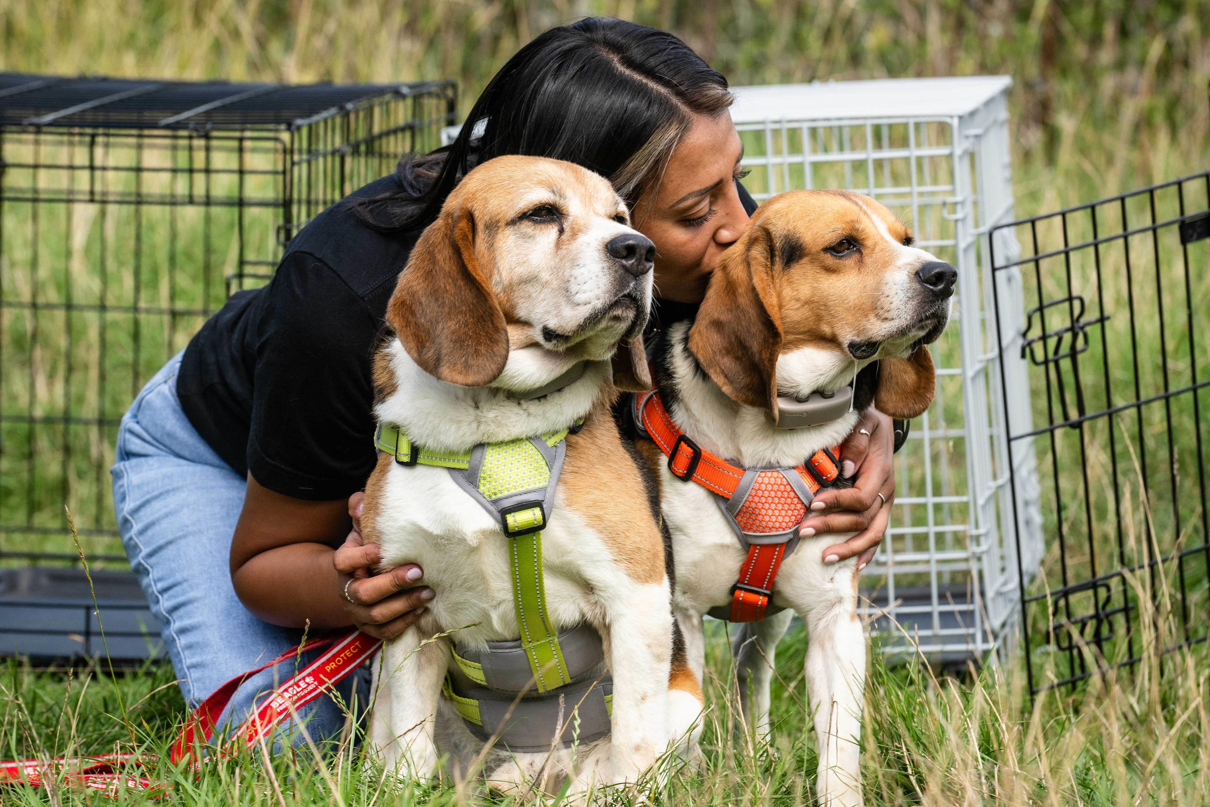 Pam Ghatoray with some of the dogs rescued by Beagle Freedom Project UK (John Nguyen/PA)