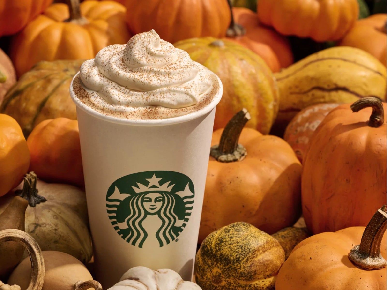 Starbucks releases new fall menu with two brandnew drinks ‘Pure joy’